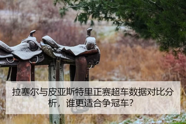 拉塞尔与皮亚斯特里正赛超车数据对比分析，谁更适合争冠车？